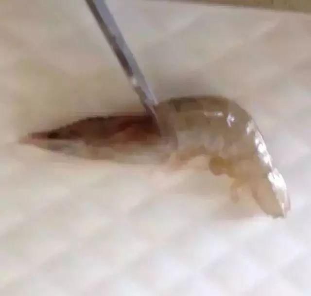 切成|教你切花刀!轻松做出鱿鱼花卷、开背虾、松鼠鱼→