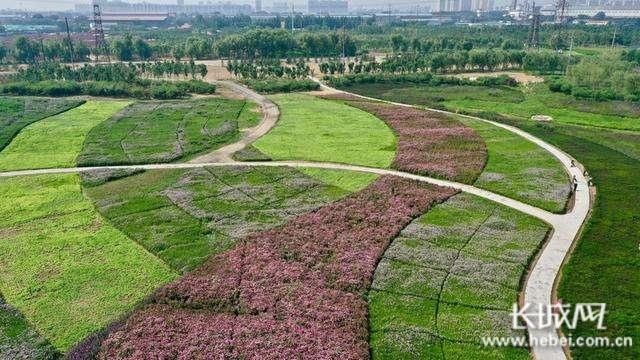  经济|唐山花海：建设绿色经济新地标