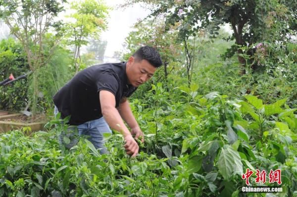 平稳|安徽阜阳蒙洼蓄洪区庄台村民生活平稳有序[组图]