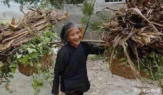 挂牌|“老人盗窃被挂牌示众”:为什么老人喜欢贪小便宜?