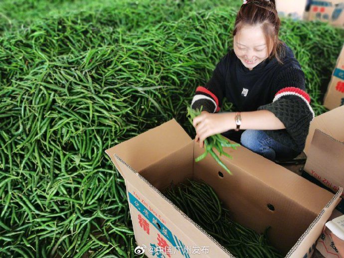 发货|发货啦!你饭桌上的菜,竟然是从这里打包发货的