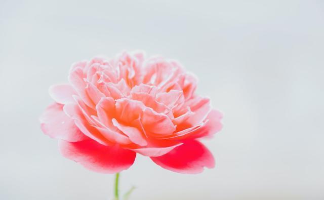 对方|适当的“距离感”,才是对爱情最好的保护