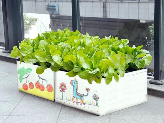  农场|8月来临！一起去天空之上的农场种菜野炊、烧烤露营，找寻那份简单的快乐~