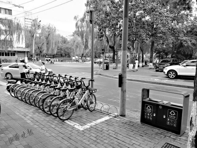 规矩|省城共享单车停放区位划分有规矩吗?
