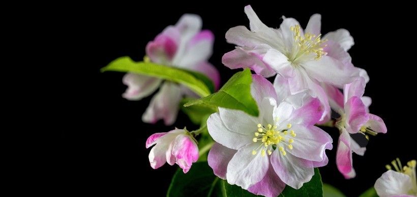  四大|8月开始运势上升，横财进门，富贵如雨的四大属相