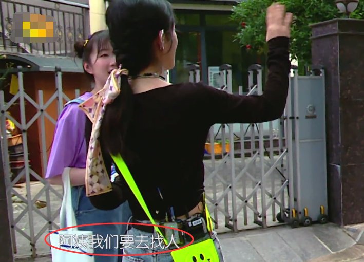  颖见到狗|赵丽颖被狗吓到直跑，狗主人跟她道歉，从她的回应方式看出人品