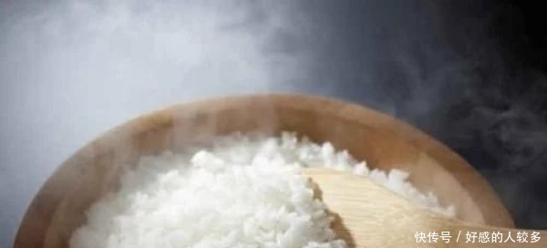 饮食|南方人和北方人的饮食差异,网友“吃饭”戳中笑点!