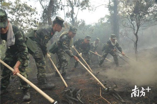 记住|多图 奋战4小时，扑灭山火！请记住他们奋战的身影