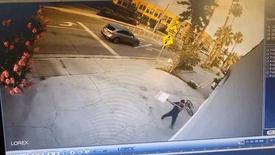 杨连慧|黑人小伙抢劫华人！不料对方是世界拳王！被暴揍落荒而逃 !