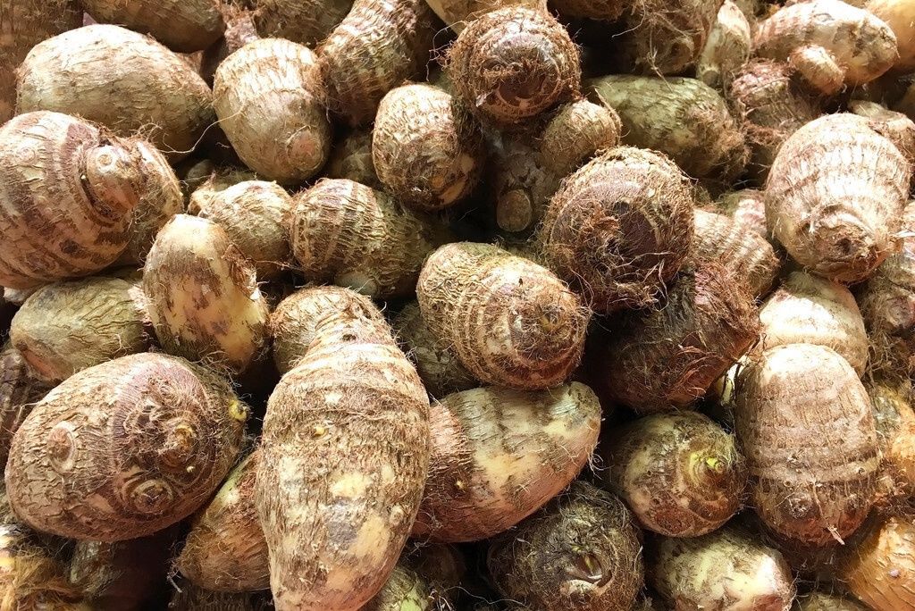 粉糯好吃|芋头挑不好,怎么煮都硬,教你5个小妙招,挑选优质软糯芋头