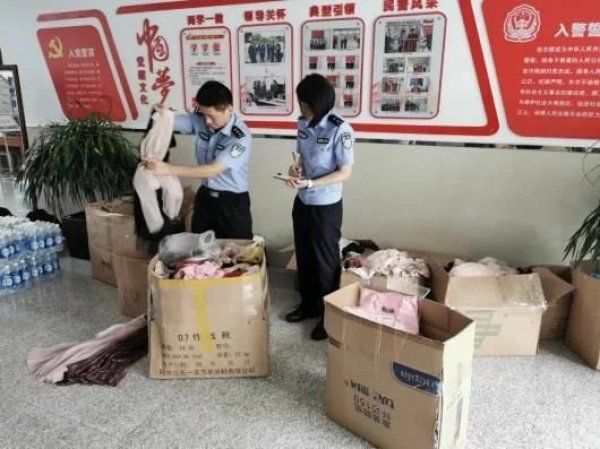 犯罪嫌疑人|专偷女性内衣还在家里囤了十大箱？宝山民警抓获“内衣大盗”