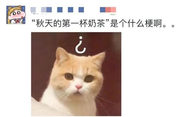 刷屏|秋天的第一杯奶茶梗,为什么突然刷屏!