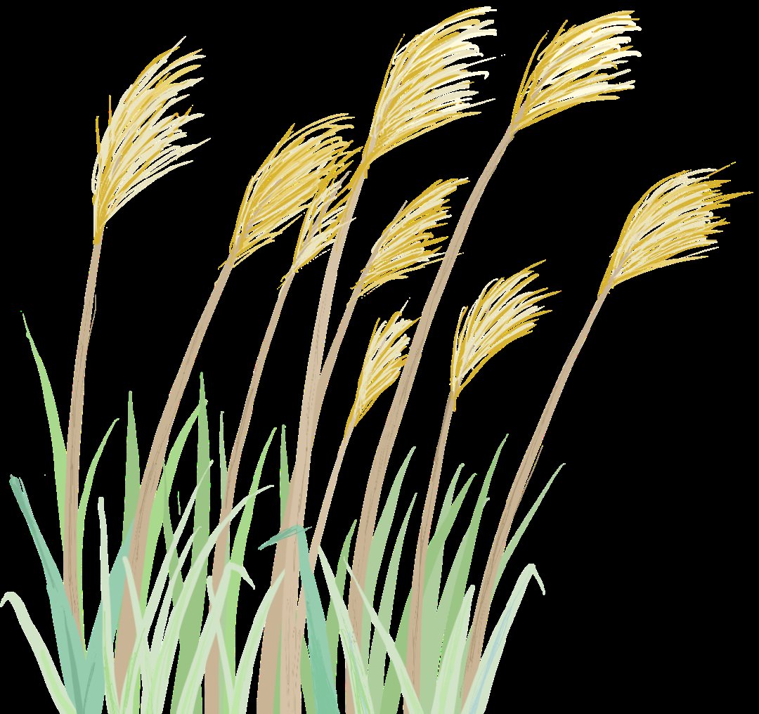 时刻|执行时刻丨法官,别预处罚,我赔钱!