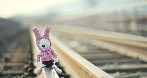 生活|如果每天都像两粒豌豆一样，你会过这种生活吗