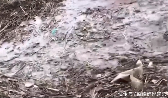  悲剧|为了走红拼了！男子面对山洪爆发淡定拍视频，结果差点悲剧了