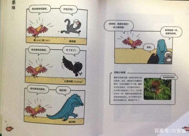 本事来吃|拥有美貌的麝雉,为什么屡屡遭到拒绝,只因为它自带体“香”