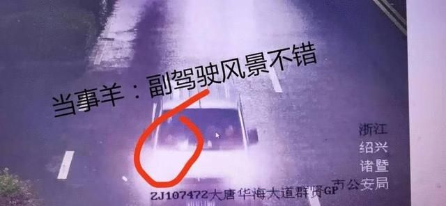  周某|“从天而降”的羊 是天降“馅饼”吗？