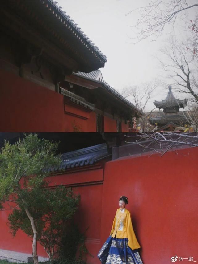  辰山植物园|好看！这才是松江夏天的正确打开方式