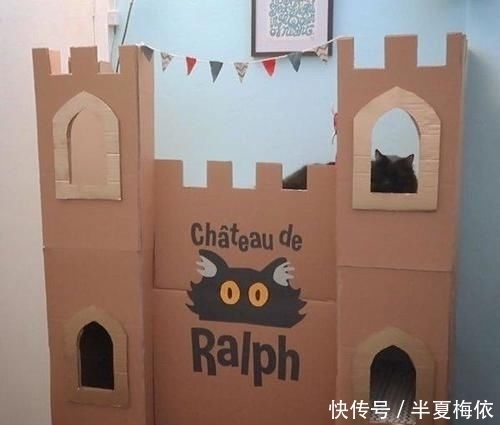 豪华|有才!外国网友用废纸箱,给喵星人打造豪华城堡