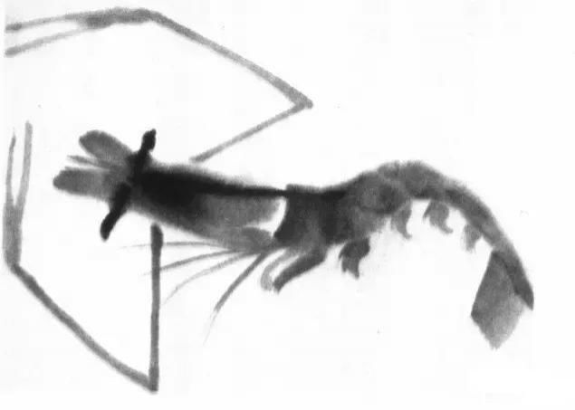  画法|怎么画鱼虾蟹蛙、写意《趣》画法