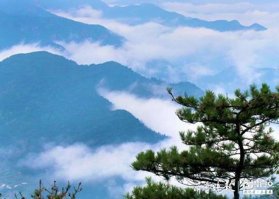 苍翠|雨后沂蒙山云卷云舒，满目苍翠