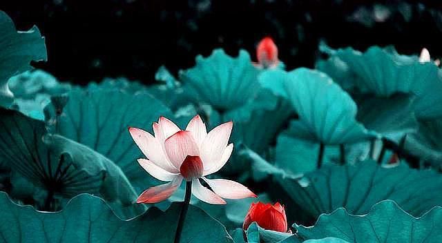 曾国藩|曾国藩:越是成熟的人,越是具有3种标志,若你身上有1个也是好事