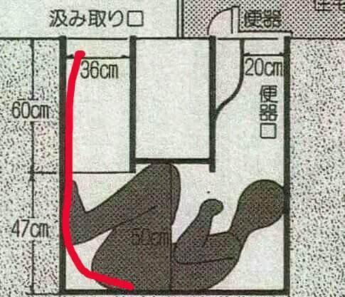  日本|日本女教师蹲厕发现男尸，警察结案：偷窥未遂而死