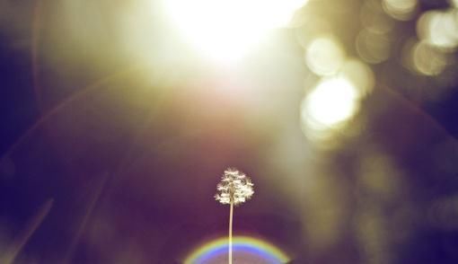  喜欢|男人爱你入骨，才会为你做这5件事，遇到就珍惜吧