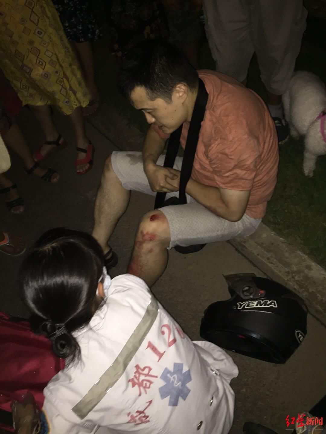  事件|“人狗相撞致人伤残”事件调解结果：两犬主人分别赔偿11万和3万