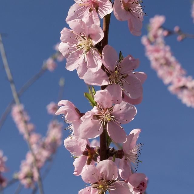  逃避|你逃避恋爱的理由，是患得患失吗？