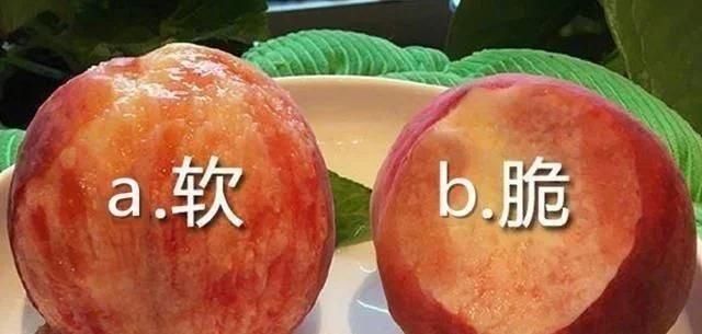 差异|南北方人口味差异有多大，甜咸之争不算什么，这才是众口难调