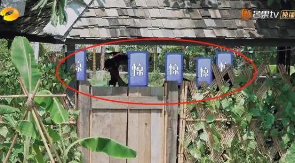  愿露|为何《跑男》导演频出镜？《向往》导演却连面都不愿露，逢出必打码？