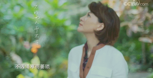  生活|这档被埋没的神仙综艺，值一个热搜！董卿插花比主持更美