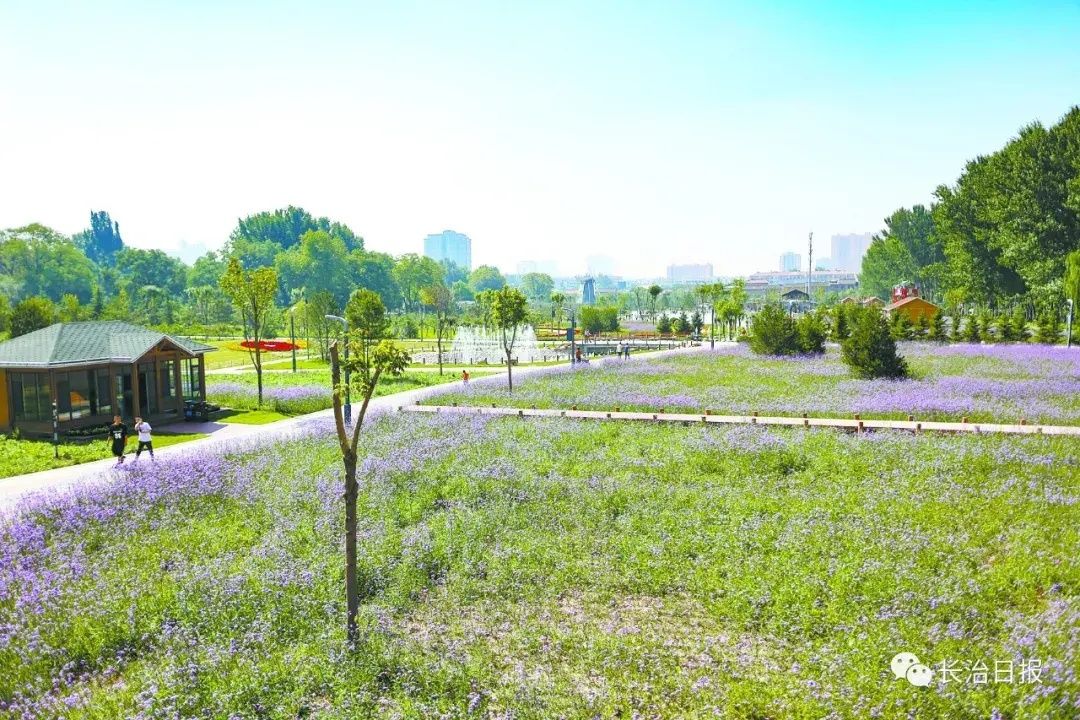 长治|长治：文明之花绽放太行之巅