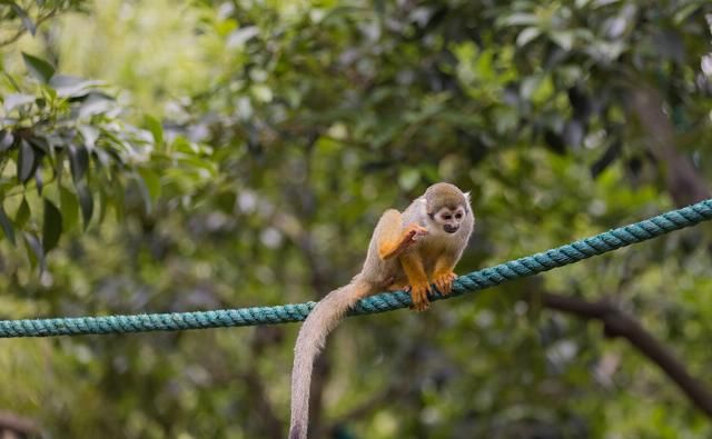  EOS|摄影摄像全能的干活利器 佳能EOS R5微单相机评测