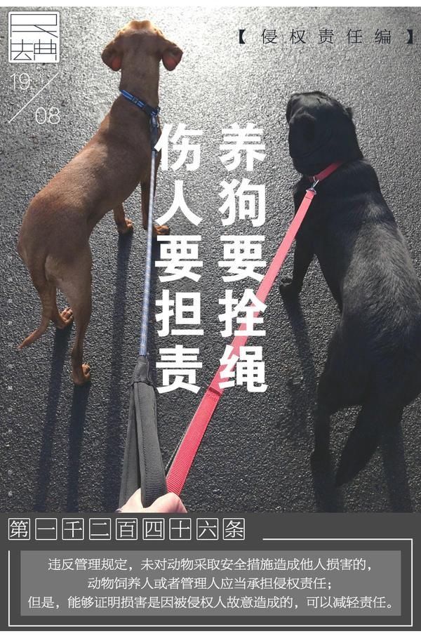 法院|多家法院公号刷屏:养狗要拴绳,伤人要担责