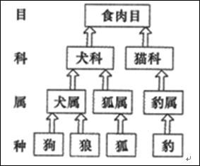  生物圈|初中生物——精选易错题100道，考前多练习！