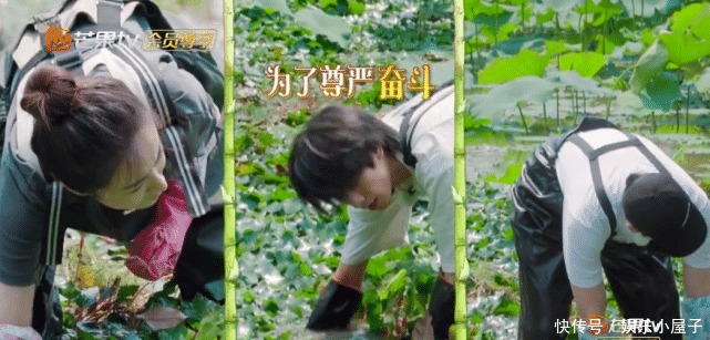 播片|《向往的生活》未播片段长达一小时,宋威龙摸河蚌,汪苏泷又偷懒