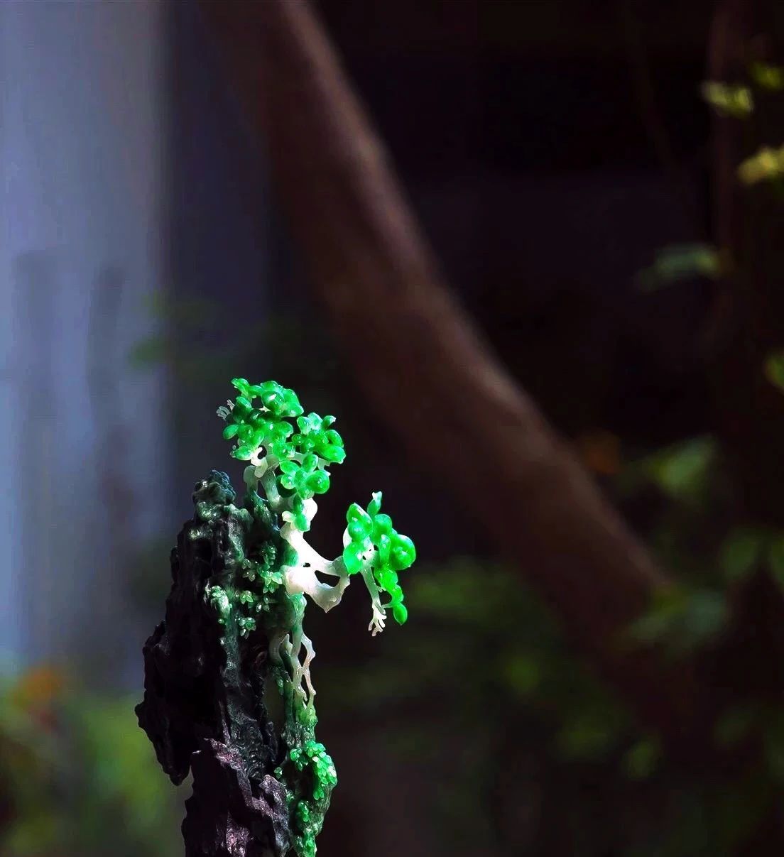 翡翠|养眼! 有些翡翠的美~只可意会不能言传