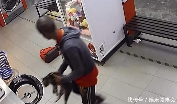  溺死|男子将三只猫扔进洗衣机溺死，引发网友骂声一片