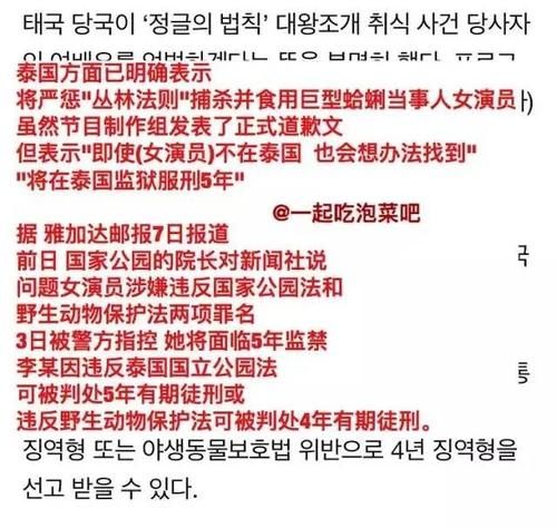  资格去采|每次都是艺人背锅，实惨！