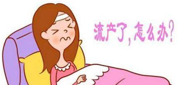 上海做赠卵试管一次得多少钱