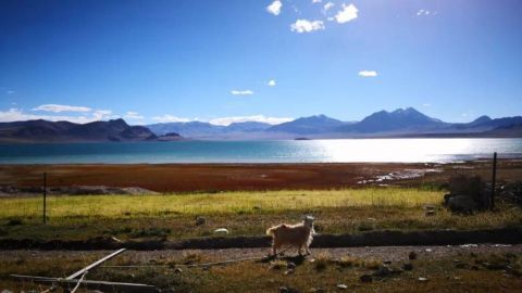  打卡|降价，降价，再降价！多地景区放大招，想去打卡吗？