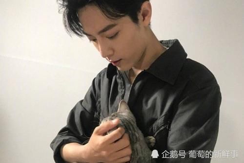 罪魁祸首|肖战《青环2》被剪,网曝冠名商是罪魁祸首,还受常驻嘉宾排挤