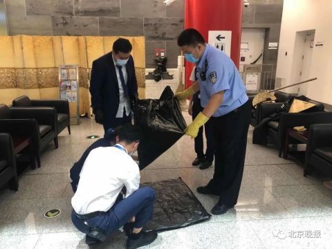 闯进|北京地铁大兴机场站闯进一只蝙蝠 警方将其“当场抓获”