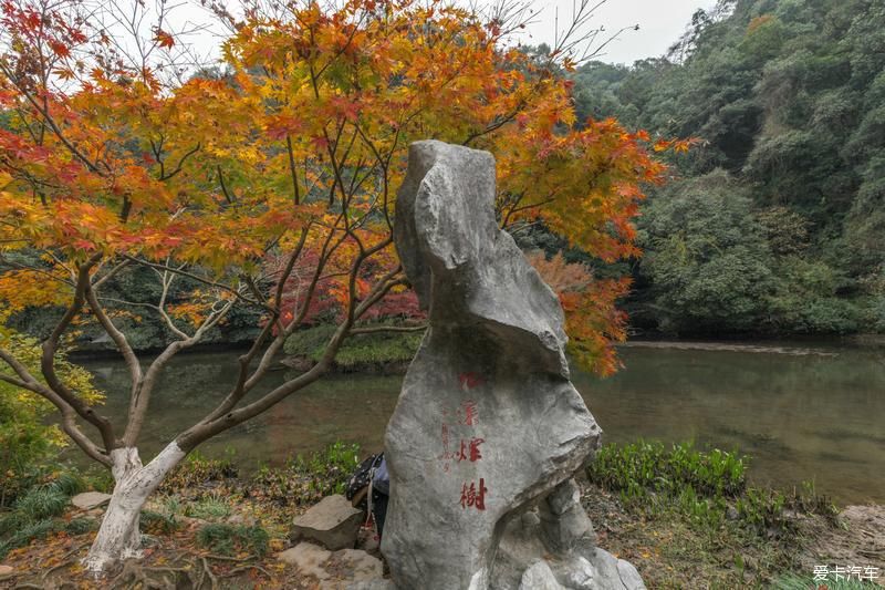  风光|畅游杭州杨梅岭，体验新颖的农家生活