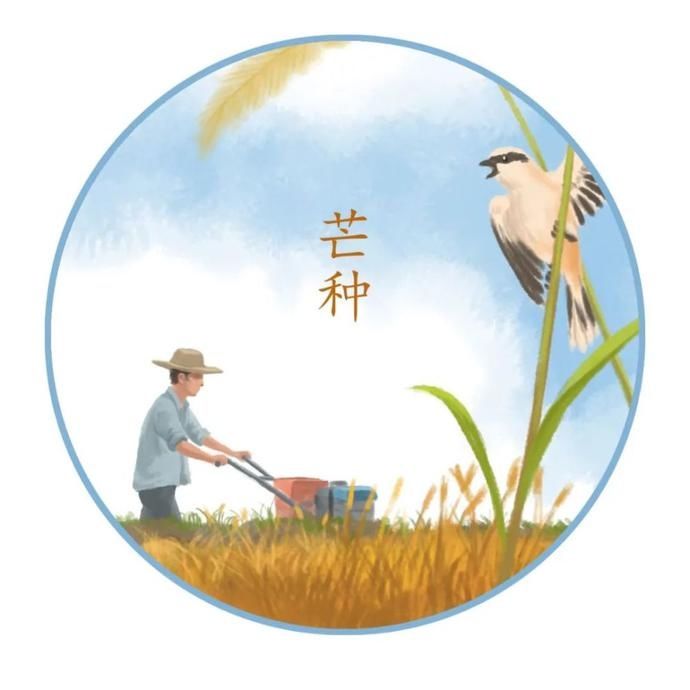  笔下|常德人笔下的二十四节气，原来这么美！值得收藏