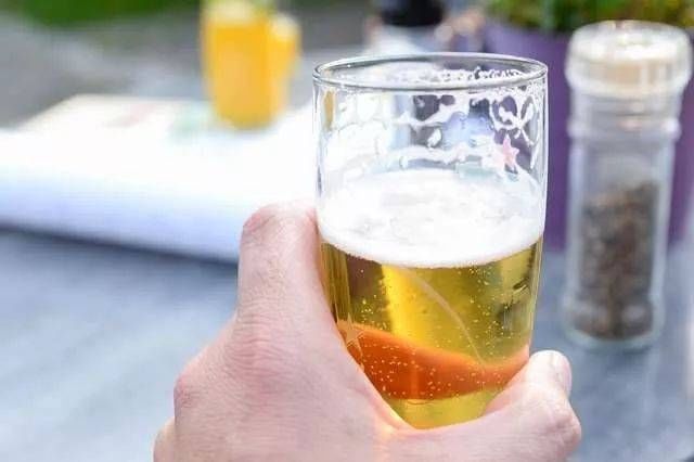  快车|网友喝酒时从天而降一只小鸟，为保安全急中生智叫快车送它去医院