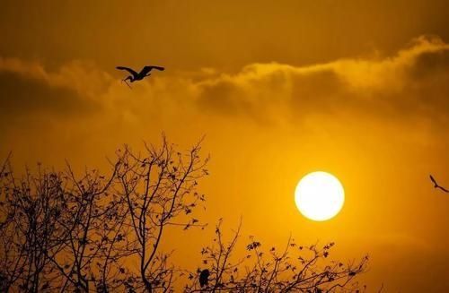  作者|《滕王阁序》作者王勃，为何27岁就去世？都是《檄英王鸡》惹的祸