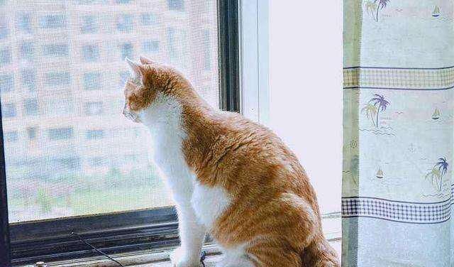  傻眼|老人被砸成重伤，家属索要15万赔偿，肇事者的身份让人傻眼